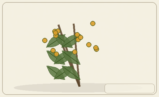 Stylized form diagram for Baneberries