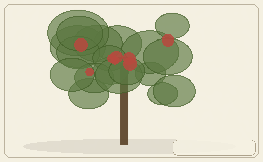 Stylized form diagram for Banyan and strangler figs