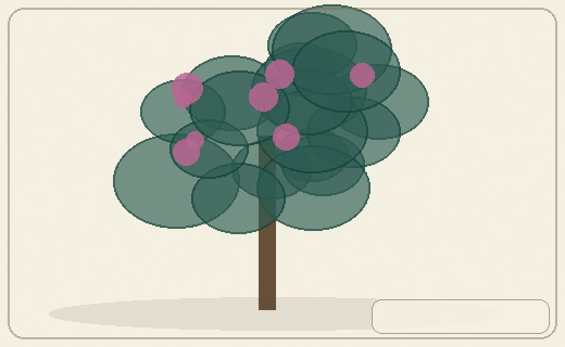 Stylized form diagram for Basswood / linden