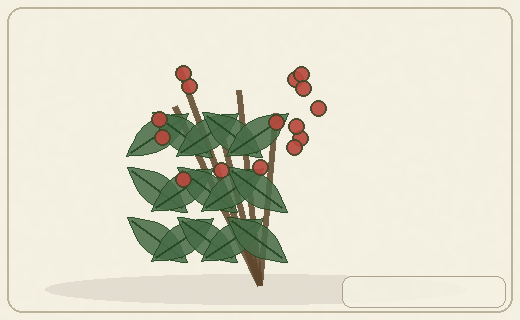 Stylized form diagram for Bilberry / bog blueberry group
