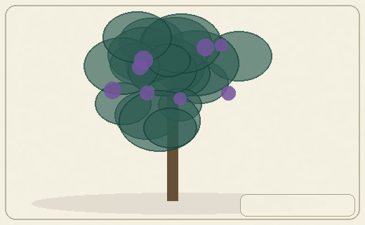 Stylized form diagram for Breadfruit