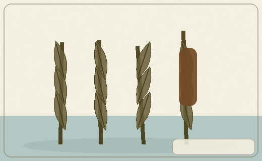 Stylized form diagram for Bulrushes