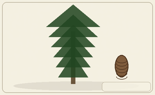 Stylized form diagram for Bunya pine