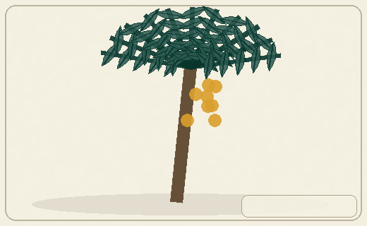 Stylized form diagram for Buriti / moriche palm