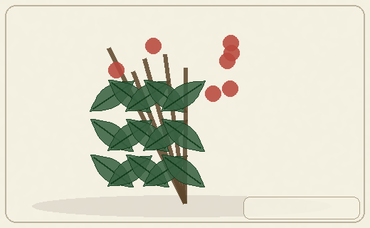 Stylized form diagram for Castor bean