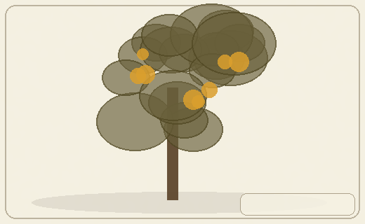 Stylized form diagram for Cerbera / suicide tree