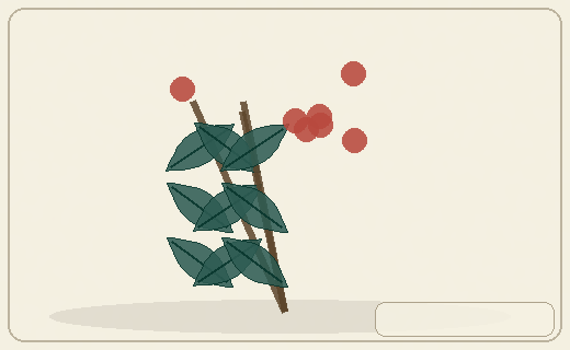 Stylized form diagram for Chamomile group