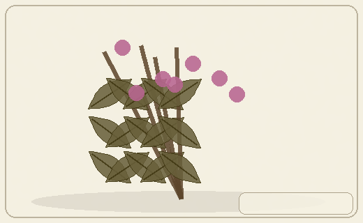 Stylized form diagram for Chaura
