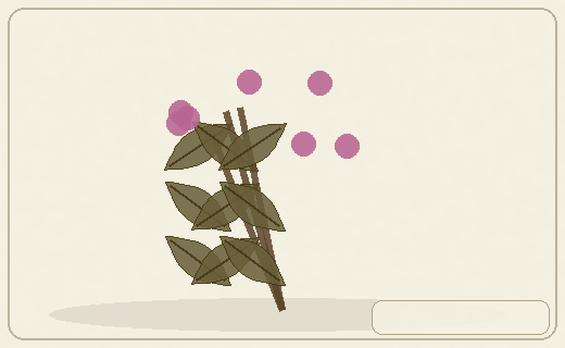 Stylized form diagram for Common chickweed