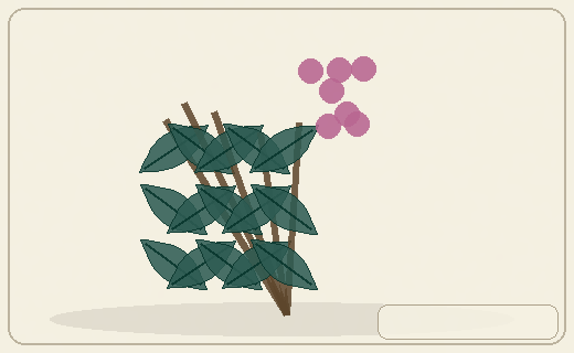 Stylized form diagram for Palqui