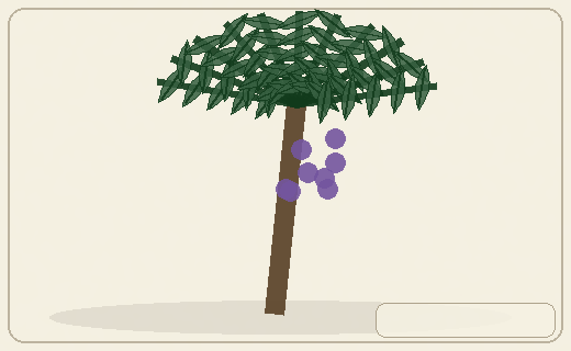 Stylized form diagram for Coconut palm