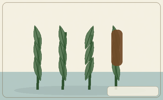 Stylized form diagram for Common reed