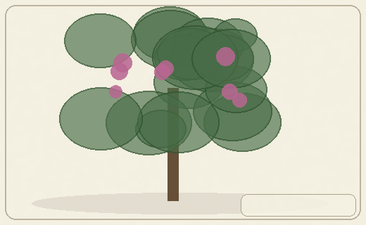 Stylized form diagram for Cork oak