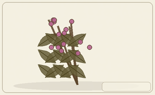 Stylized form diagram for Crowberry