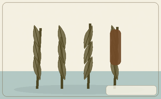 Stylized form diagram for Cumbungi / Australian cattails