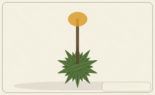 Stylized form diagram for Australian cycads