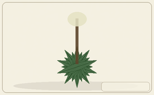 Stylized form diagram for Dandelion