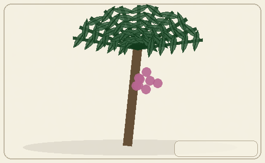 Stylized form diagram for Date palm