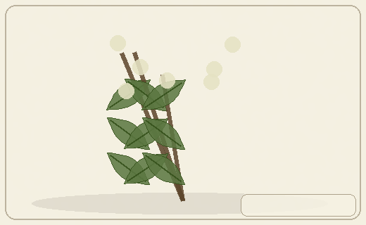 Stylized form diagram for Daturas / thorn apples