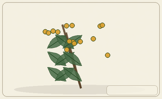 Stylized form diagram for Deadly nightshade