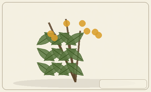 Stylized form diagram for Dogwoods