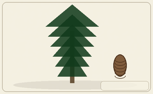 Stylized form diagram for Douglas-fir
