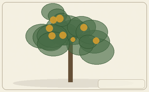 Stylized form diagram for Dragon’s-blood tree