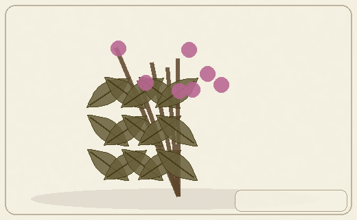 Stylized form diagram for Dwarf birches