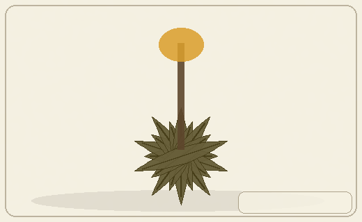 Stylized form diagram for Tree euphorbias