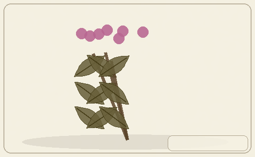 Stylized form diagram for False hellebores