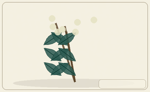Stylized form diagram for Wild fennel