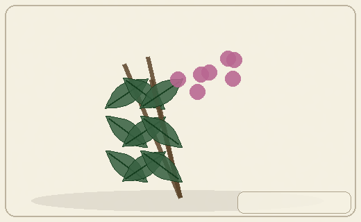Stylized form diagram for Fireweed