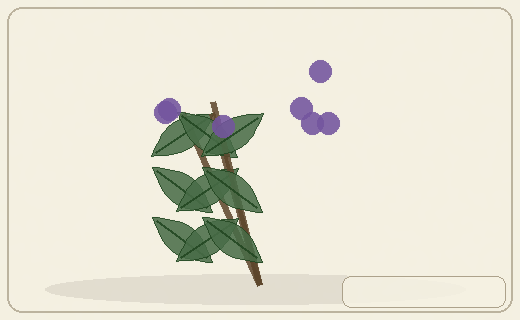 Stylized form diagram for Foxglove