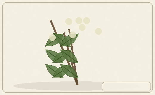 Stylized form diagram for Ginger