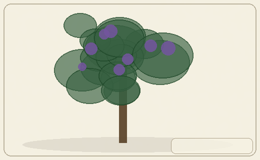 Stylized form diagram for Ginkgo