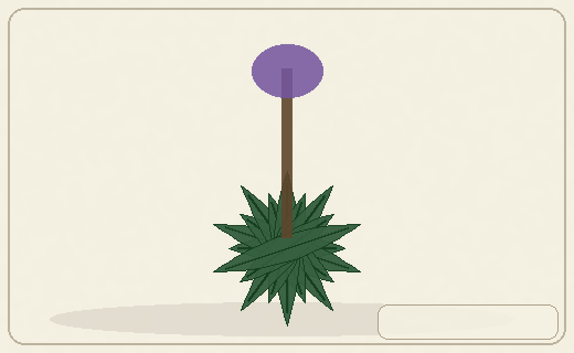 Stylized form diagram for Glassworts
