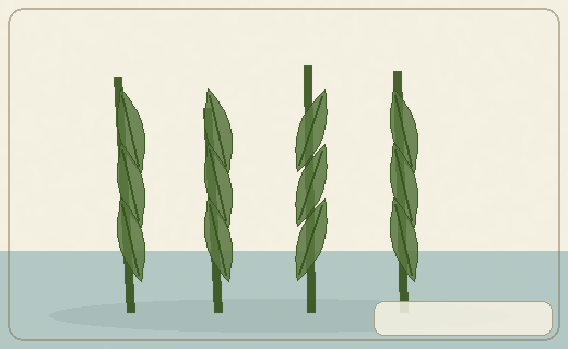 Stylized form diagram for Gotu kola