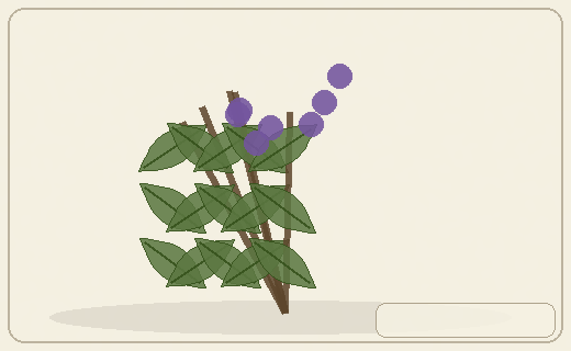 Stylized form diagram for Hazels