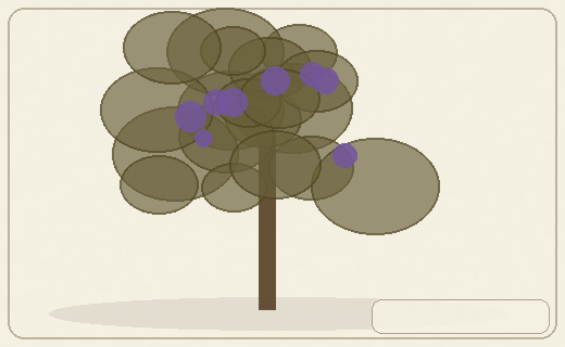 Stylized form diagram for Hickories