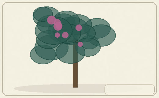 Stylized form diagram for Holm oak