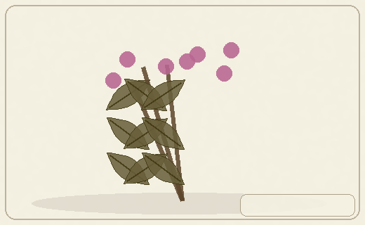 Stylized form diagram for Holy basil / tulsi