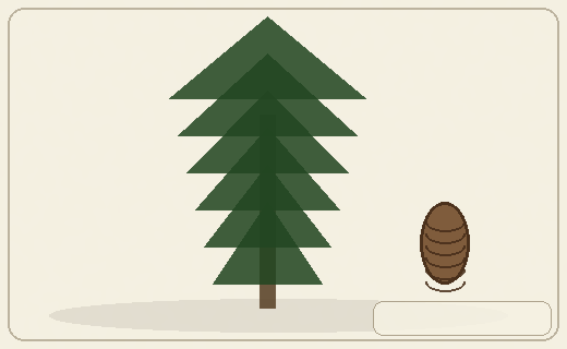 Stylized form diagram for Jack pine