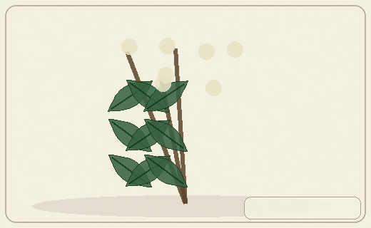 Stylized form diagram for Jerusalem artichoke