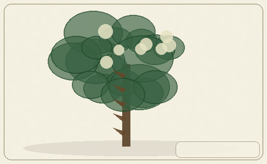 Stylized form diagram for Chinese jujube