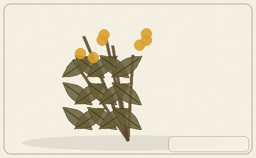 Stylized form diagram for Kawakawa