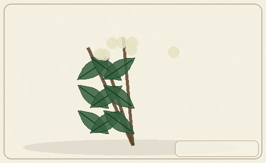 Stylized form diagram for Lambsquarters / goosefoot