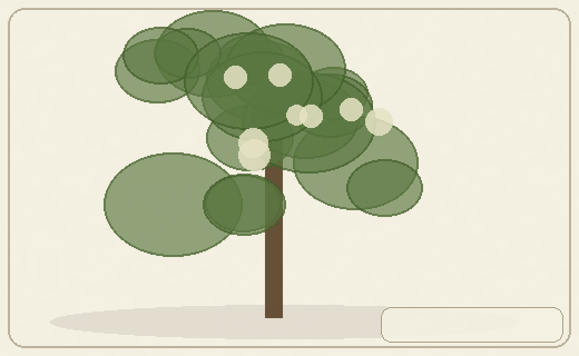Stylized form diagram for Lemon myrtle