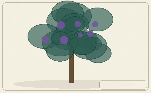 Stylized form diagram for Lilly pilly group