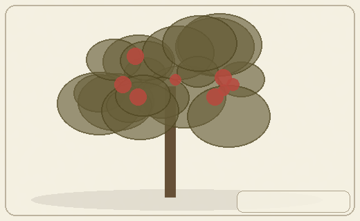 Stylized form diagram for Macadamia