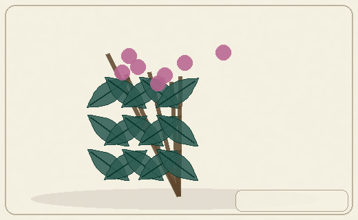 Stylized form diagram for Magellan currant